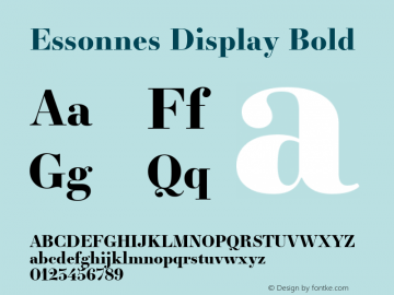 Essonnes Display Bold 1.000 2015 initial release Font Sample