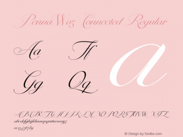 Penna W05 Connected Version 1.00 Font Sample