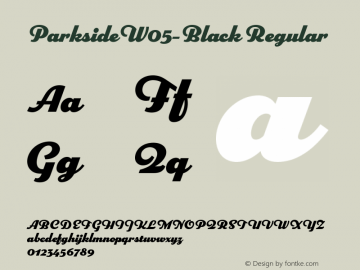 Parkside W05 Black Version 1.007 Font Sample