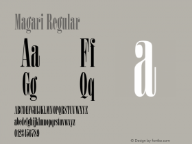 Magari Regular Version 1.000;hotconv 1.0.109;makeotfexe 2.5.65596 Font Sample