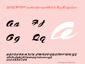 SCRIPT1 Voodoo Script W03 Rg Version 1.00图片样张