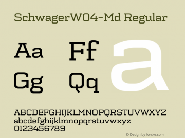 Schwager W04 Md Version 1.00图片样张