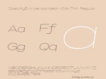 Specify Extraexpanded W03 Th It Version 1.00图片样张