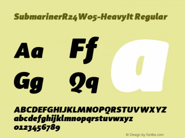 Submariner R24 W05 Heavy Italic Version 1.60图片样张