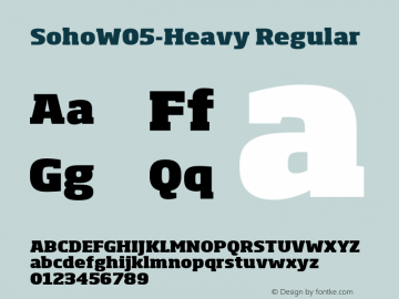 Soho W05 Heavy Version 1.00图片样张