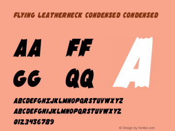 Flying Leatherneck Condensed Condensed Version 2.0; 2012图片样张