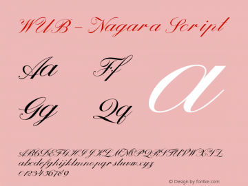 WUB - Nagara Script Version 1.000;PS 001.000;hotconv 1.0.88;makeotf.lib2.5.64775图片样张