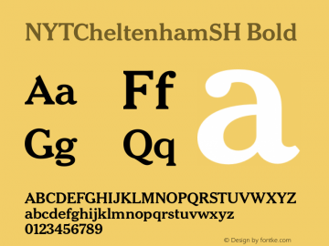 NYTCheltenhamSH Bold Version 2.000图片样张