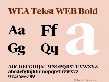 WEA Tekst WEB Bold Version 1.001;PS 1.1;hotconv 1.0.88;makeotf.lib2.5.647800图片样张