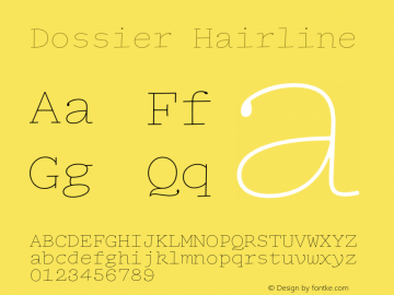 Dossier-Hairline Version 1.000 | wf-rip DC20200310图片样张