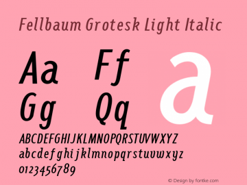 Fellbaum Grotesk Light Italic 1.000图片样张