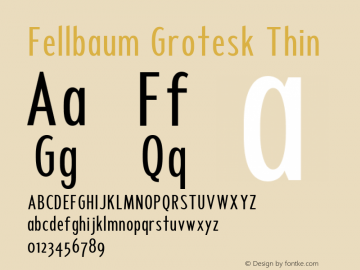Fellbaum Grotesk Thin 1.000 Font Sample