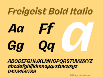 Freigeist Bold Italic 1.000 Font Sample