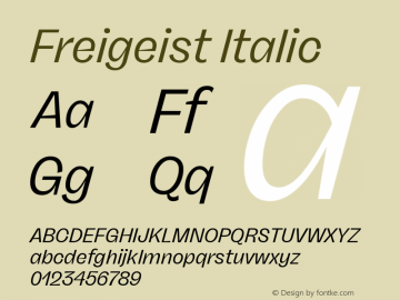 Freigeist Italic 1.000 Font Sample