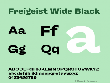 Freigeist Wide Black 1.000 Font Sample