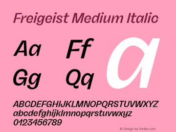 Freigeist Medium Italic 1.000 Font Sample