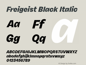 Freigeist Black Italic 1.000 Font Sample