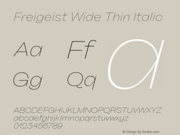Freigeist Wide Thin Italic 1.000 Font Sample