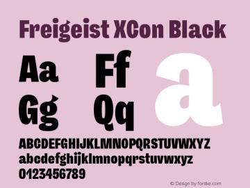 Freigeist XCon Black 1.000 Font Sample