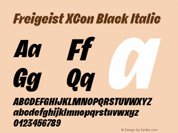 Freigeist XCon Black Italic 1.000 Font Sample