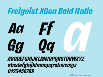 Freigeist XCon Bold Italic 1.000 Font Sample
