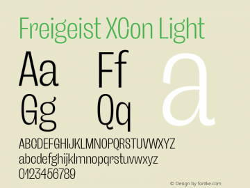 Freigeist XCon Light 1.000 Font Sample