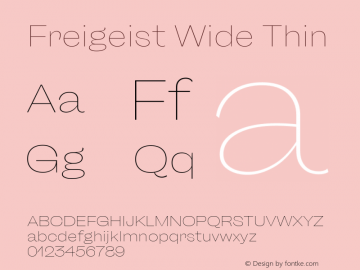 Freigeist Wide Thin 1.000 Font Sample