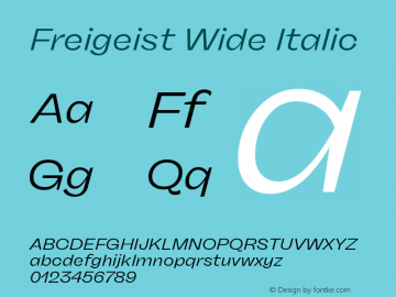 Freigeist Wide Italic 1.000 Font Sample