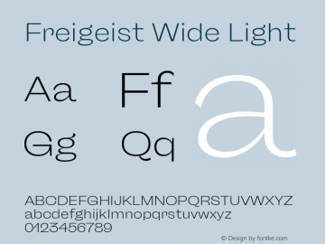 Freigeist Wide Light 1.000 Font Sample