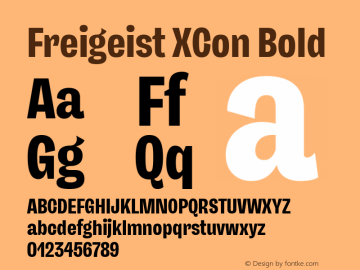 Freigeist XCon Bold 1.000 Font Sample