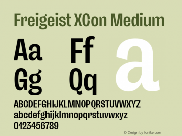 Freigeist XCon Medium 1.000 Font Sample