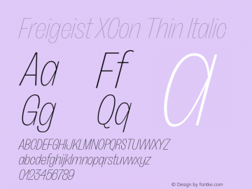 Freigeist XCon Thin Italic 1.000 Font Sample