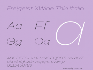 Freigeist XWide Thin Italic 1.000 Font Sample