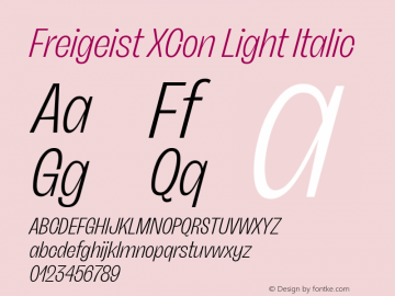 Freigeist XCon Light Italic 1.000图片样张