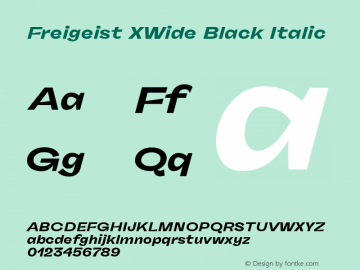 Freigeist XWide Black Italic 1.000 Font Sample