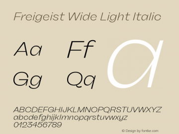 Freigeist Wide Light Italic 1.000 Font Sample