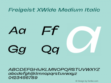 Freigeist XWide Medium Italic 1.000 Font Sample