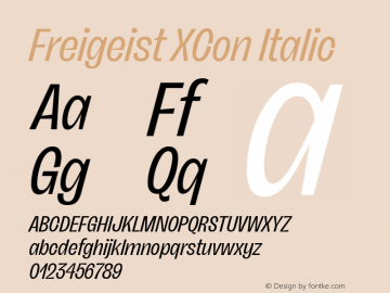 Freigeist XCon Italic 1.000 Font Sample