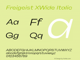 Freigeist XWide Italic 1.000图片样张