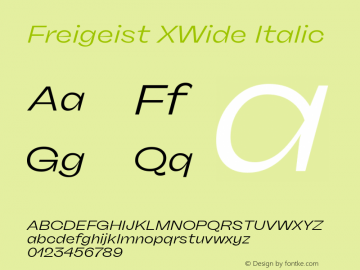 Freigeist XWide Italic 1.000 Font Sample