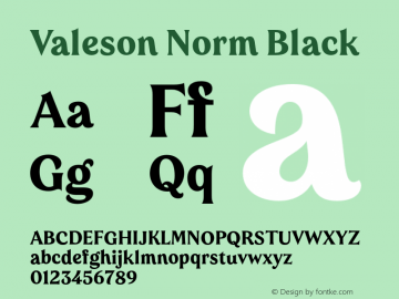 Valeson Norm Black Version 1.0 Font Sample