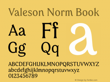 Valeson Norm Book Version 1.0 Font Sample