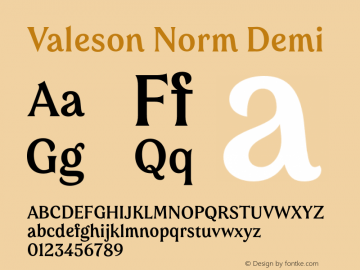 Valeson Norm Demi Version 1.0 Font Sample