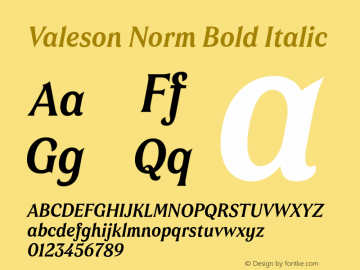 Valeson Norm Bold Italic Version 1.0 Font Sample