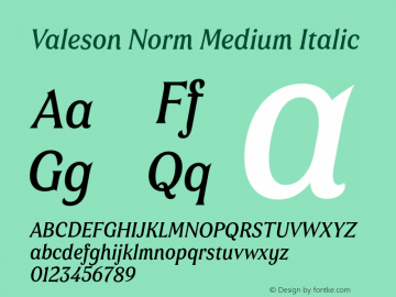 Valeson Norm Medium Italic Version 1.0 Font Sample