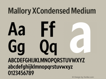 Mallory XCond Medium Version 2.000;PS 2.000;hotconv 16.6.51;makeotf.lib2.5.65220图片样张