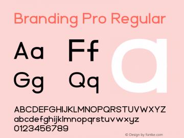 BrandingPro Version 1.00;November 19, 2020;FontCreator 13.0.0.2683 64-bit Font Sample