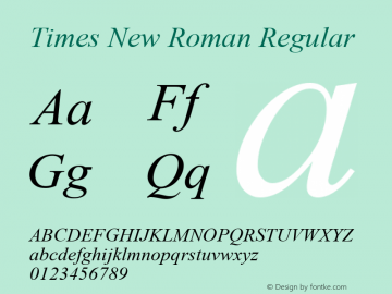 Times New Roman W07 Italic Version 6.87图片样张