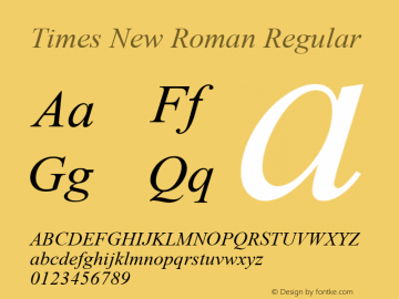 Times New Roman W10 Italic Version 6.87图片样张