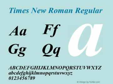 Times New Roman W05 Bold Italic Version 6.87图片样张